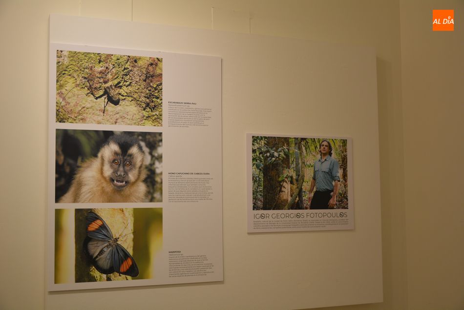 Foto 6 - Exposición, con la Amazonia como protagonista, para concienciar sobre la importancia de conservar la naturaleza 