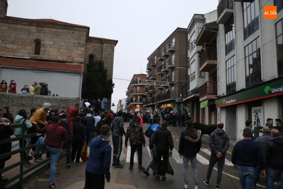 Foto 3 - Miles de personas llenan las calles de Vitigudino para ver el I Toro de San Nicolás