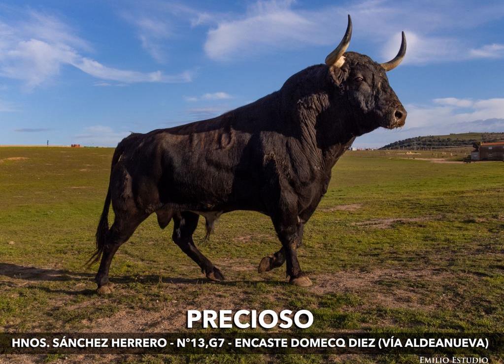 Foto 1 - Precioso se convierte en el Toro del Antruejo del Carnaval 2022