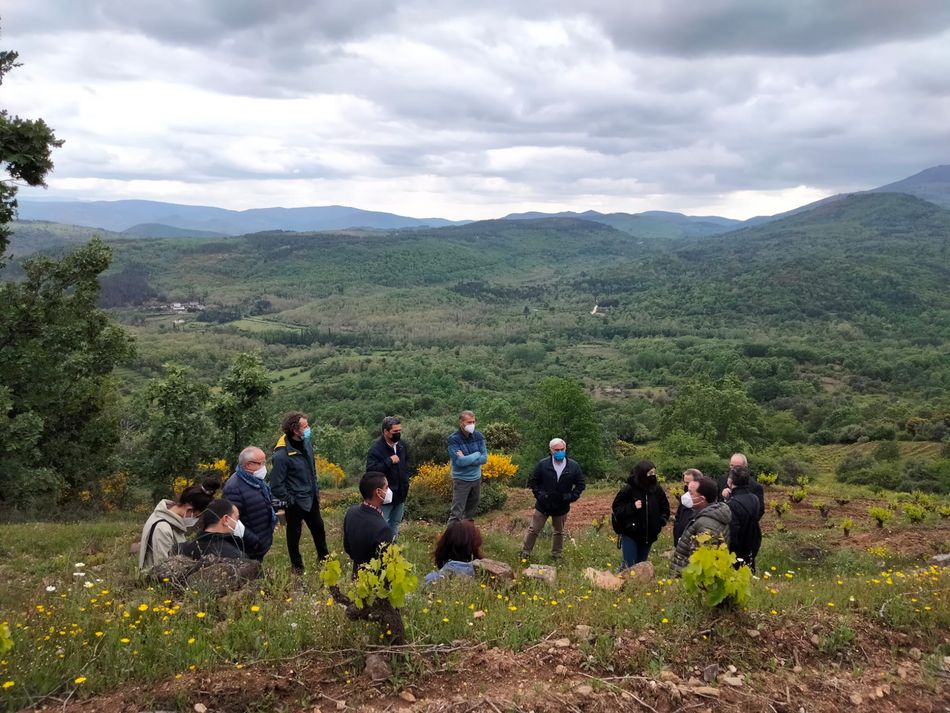 Los participantes en el proyecto WinEra en un viñedo en Villanueva del conde - Fotos: Ruta del Vino de la Sierra de Francia