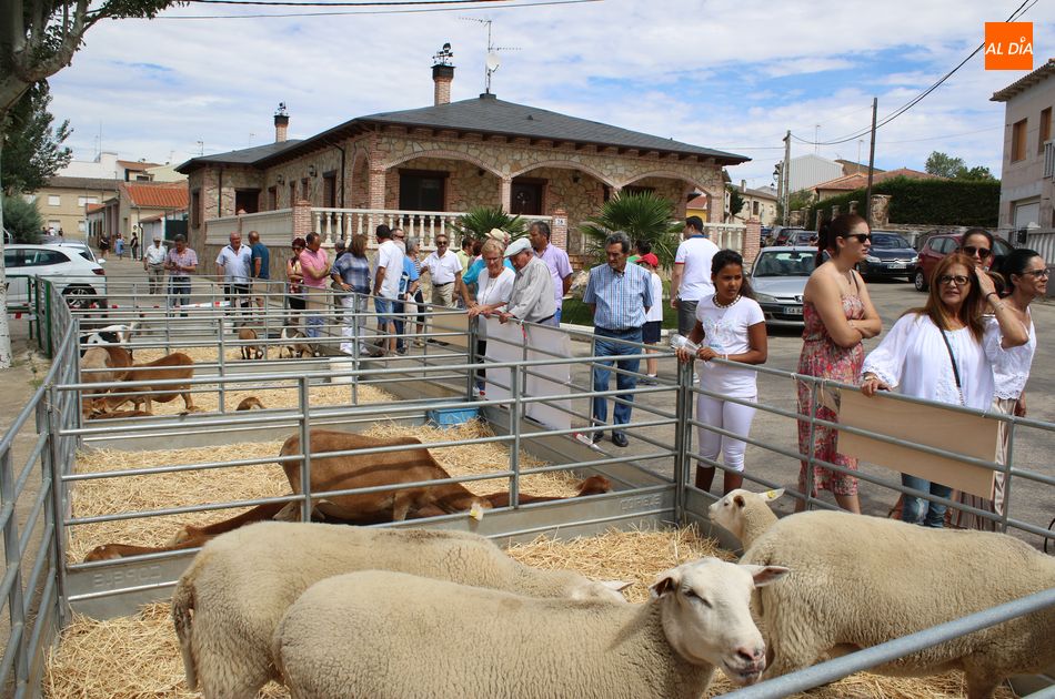 Foto 6 - Galinduste consolida su Feria Agroalimentaria y apuesta por la ganadería