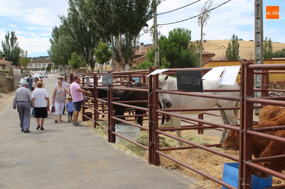 Foto 5 - Galinduste consolida su Feria Agroalimentaria y apuesta por la ganadería