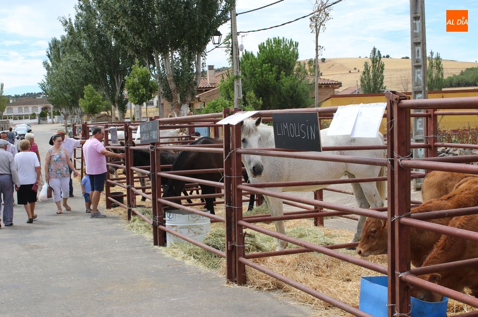 Foto 2 - Galinduste consolida su Feria Agroalimentaria y apuesta por la ganadería