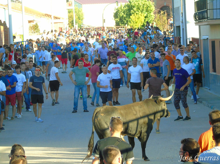 Foto 6 - Adrenalina y ‘llenazo’ durante el primer Toro de Cajón de Macotera