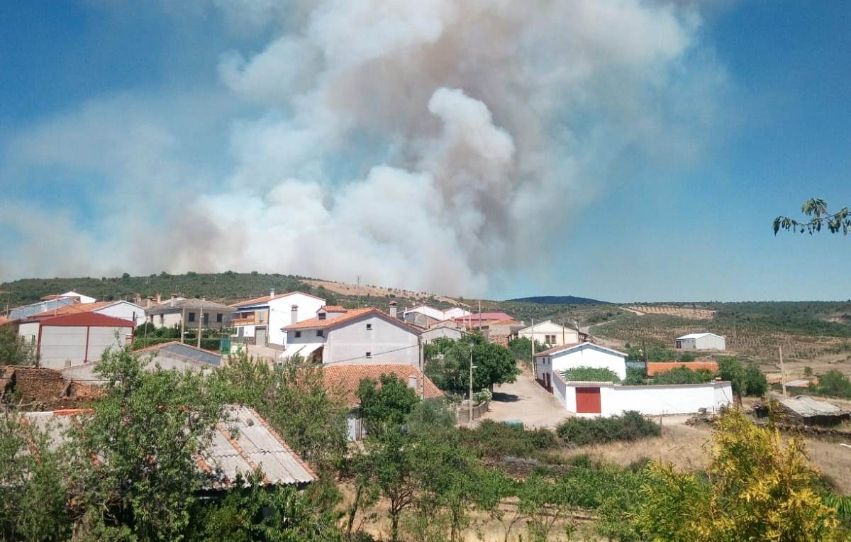 Foto 2 - Un incendio en la zona de las Serradillas que llegó a ser declarado Nivel 1 calcina entre 60 y 70...