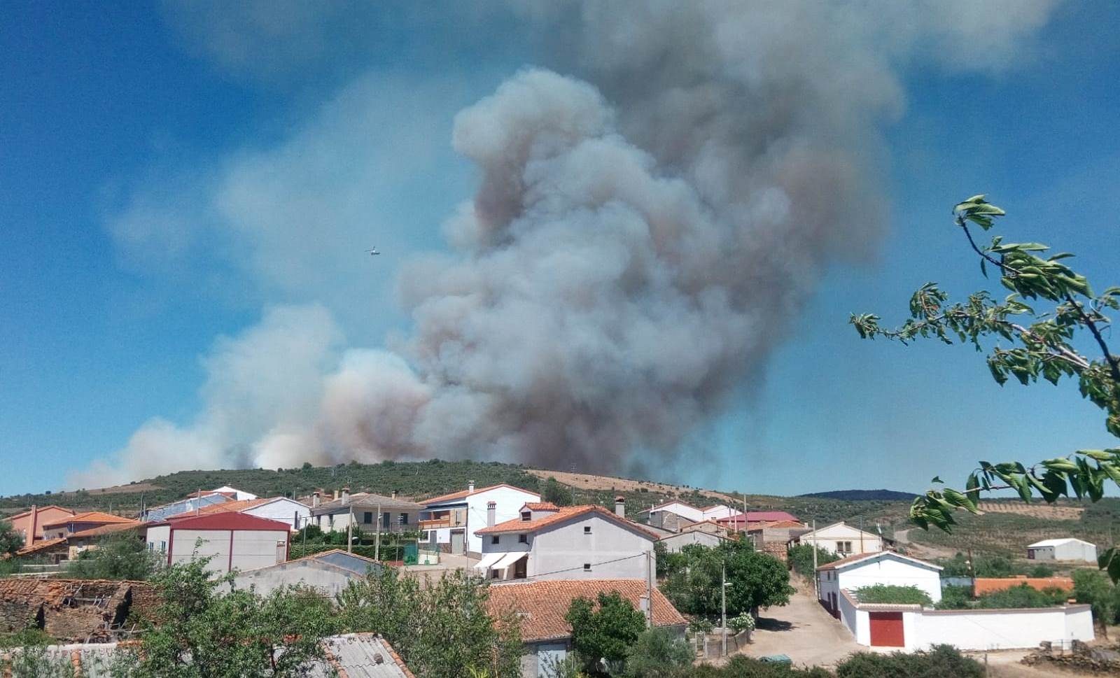 Foto 6 - Un incendio en la zona de las Serradillas que llegó a ser declarado Nivel 1 calcina entre 60 y 70...