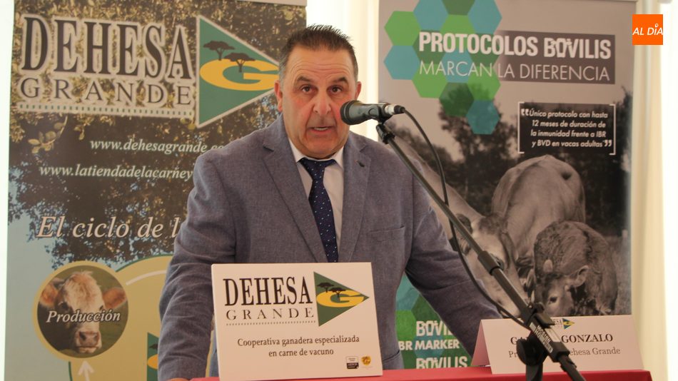 Gabriel Gonzalo, presidente de Dehesa Grande / CORRAL