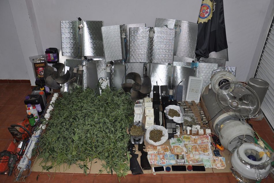 Foto 2 - Detenidos tres hombres y una mujer por cultivo y venta de marihuana en Béjar