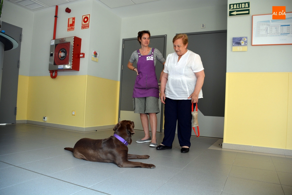 Foto 4 - El equipo canino del CRE de Alzheimer de Salamanca que ayuda a las personas con demencia