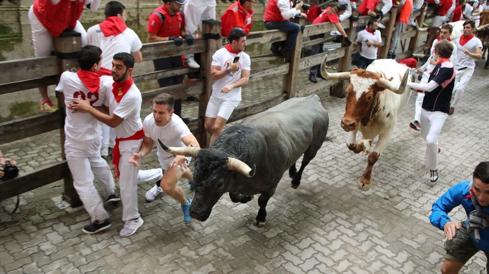 Los toros de José Escolar han protagonizado un rápido encierro. Foto: EP