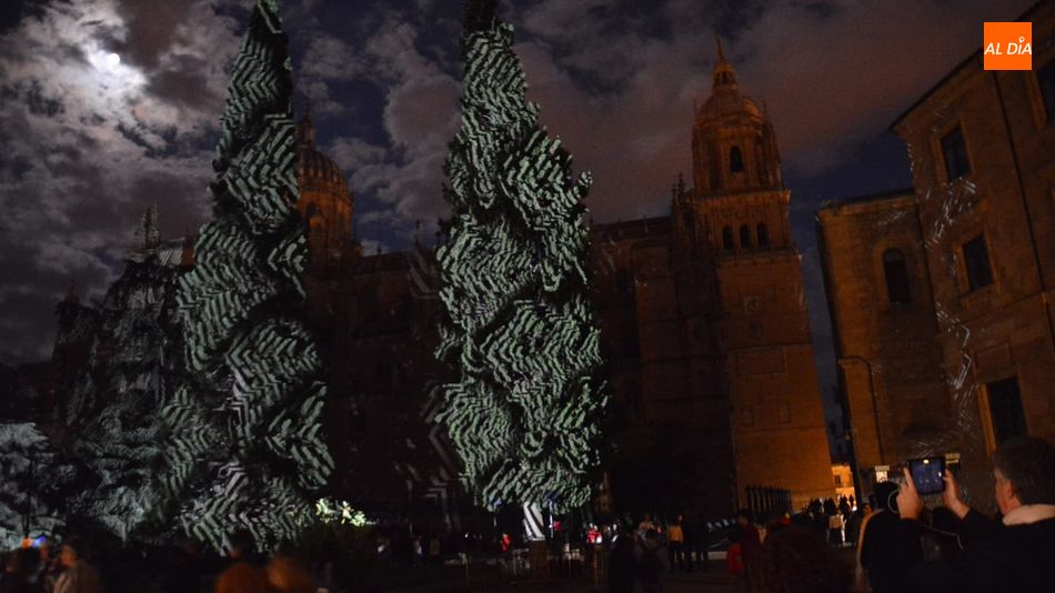 La Plaza de Anaya, con los árboles como lienzos y con la Catedral como testigo, acoge el audiovisual de Javier Riera. Foto de Lydia González