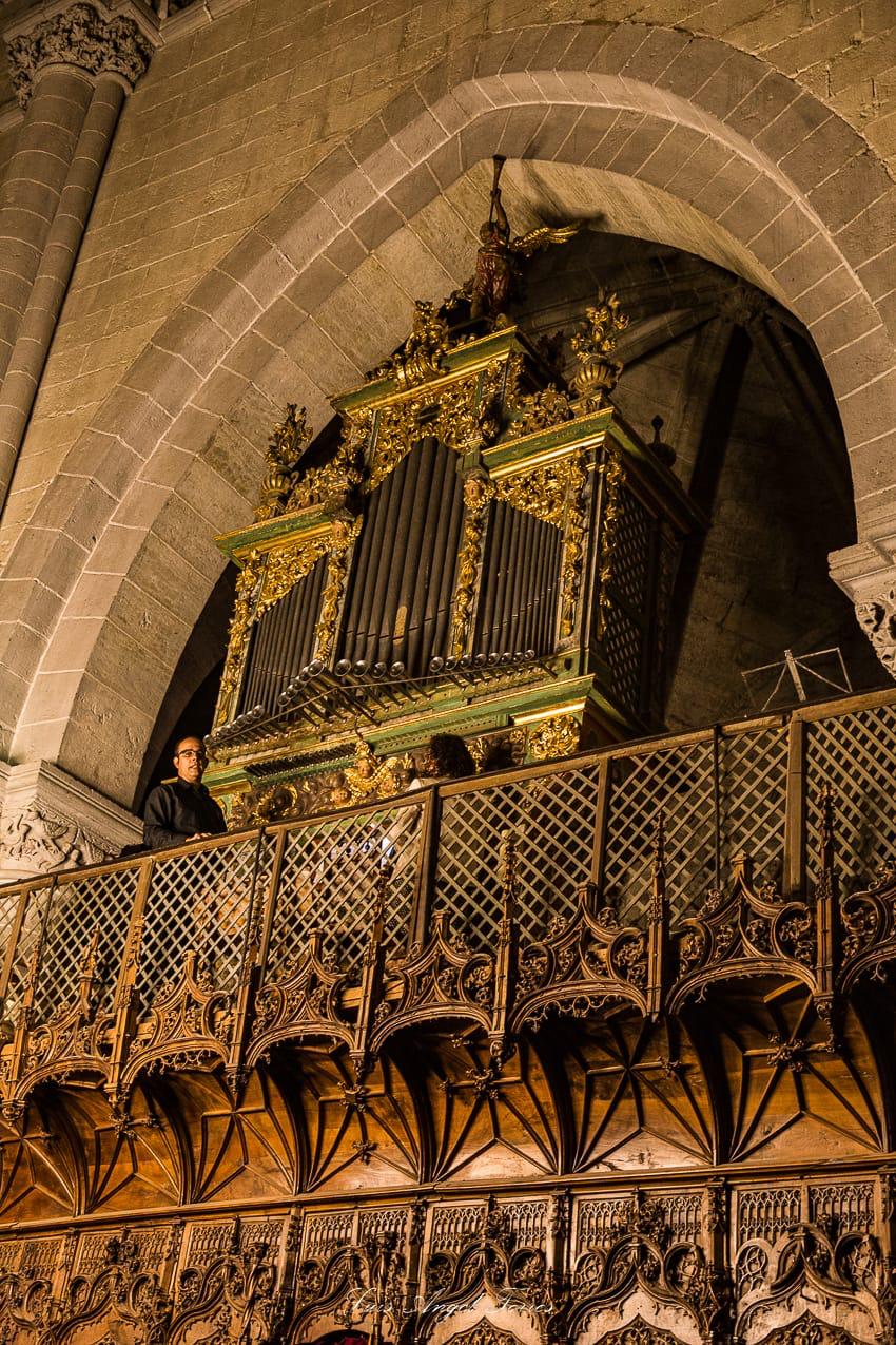 Foto 3 - AFAM vive una noche mágica en la Catedral de Santa María  