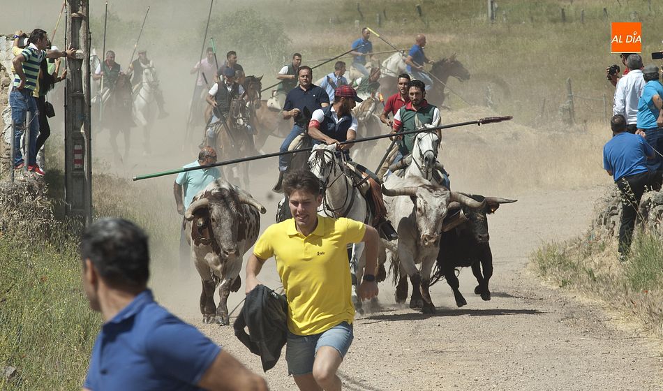 La manada llegando a la localidad | Fotos Adrián Martín