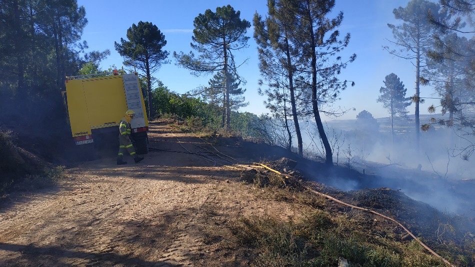 Foto 5 - Un incendio calcina media hectárea de bosque en Linares de Riofrío