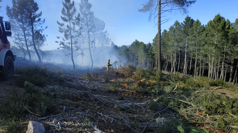 Un incendio calcina media hect&aacute;rea de bosque en Linares de Riofr&iacute;o
