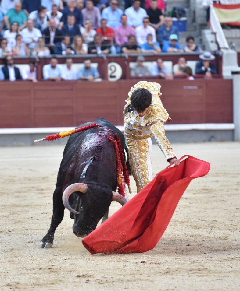 Foto 4 - Antonio Grande gusta pero no puntúa en su debut en Las Ventas