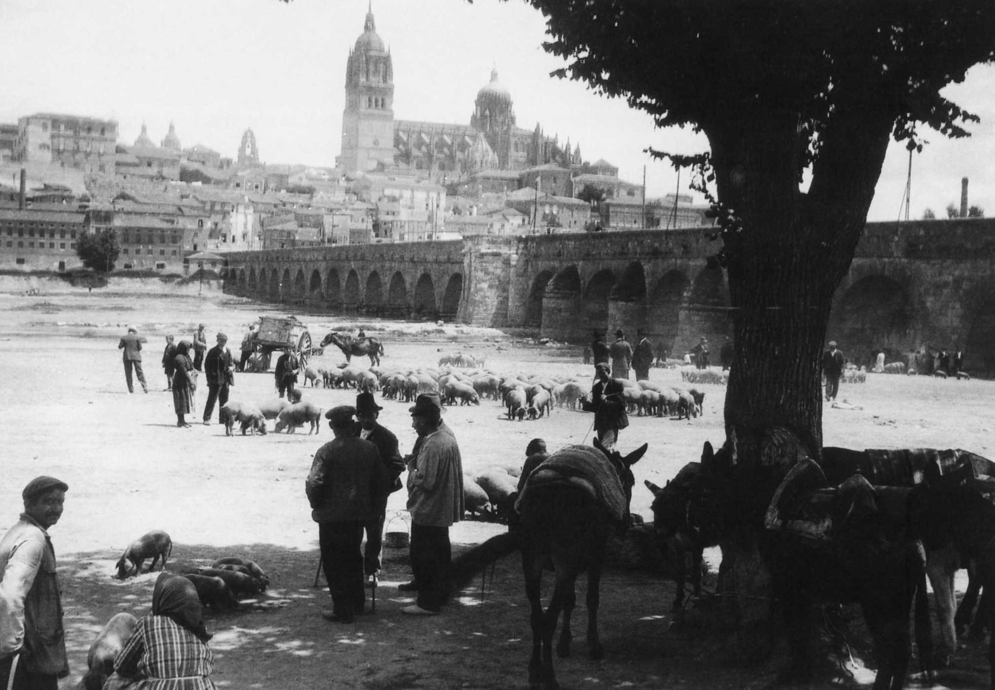 Foto 4 - Salamanca en la primera mitad del XX a través de las imágenes de Cándido Ansede