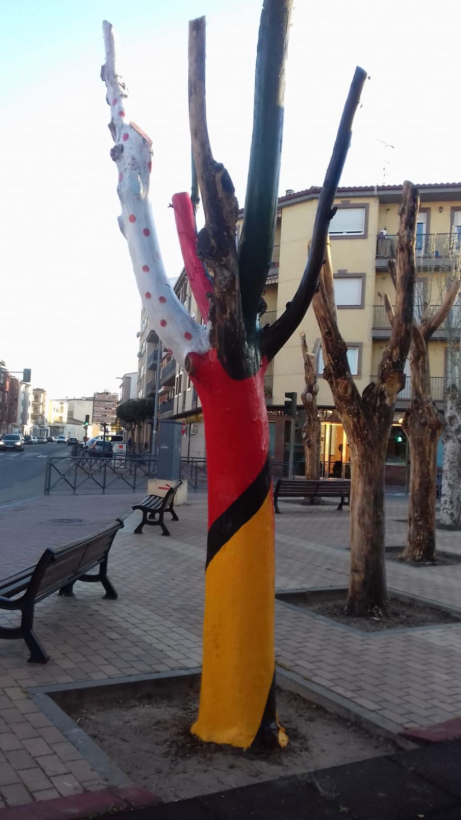Foto 2 - Inician una recogida de firmas para sustituir los árboles pintados en el parque El Candil