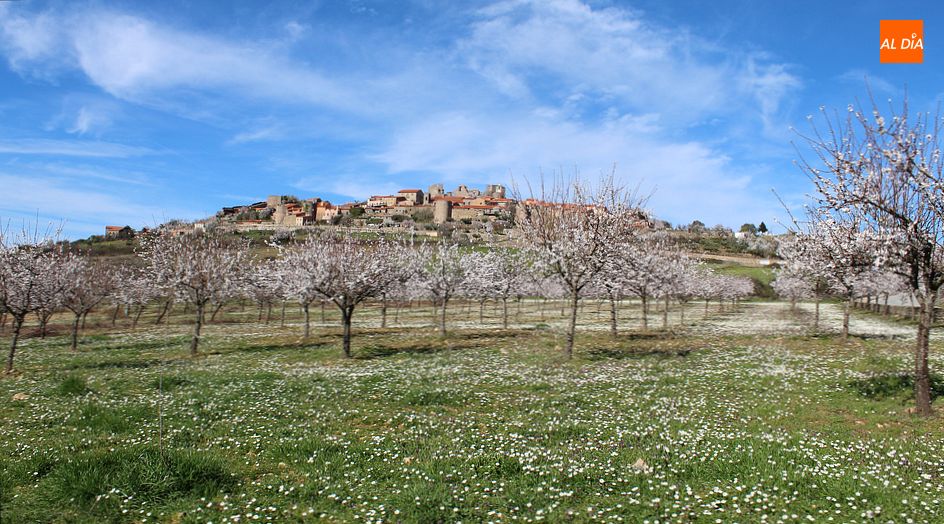 Almendros en flor a los pies de la aldea de Castelo Rodrigo/ Rep. Gráf. Martín-Garay