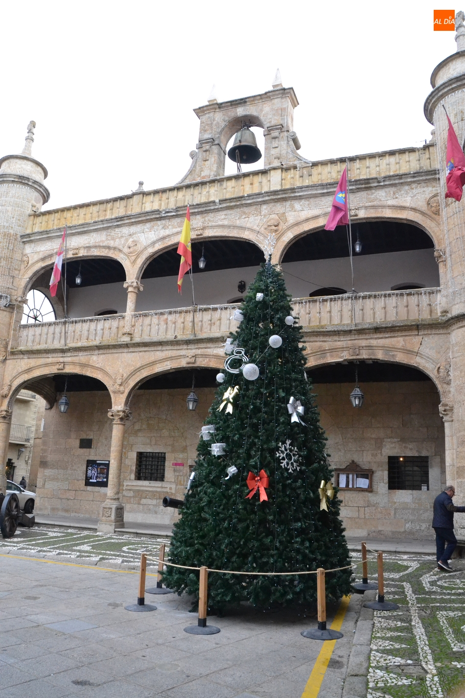 Foto 2 - Colocado el Árbol de Navidad de la Plaza Mayor, que estrena posición  