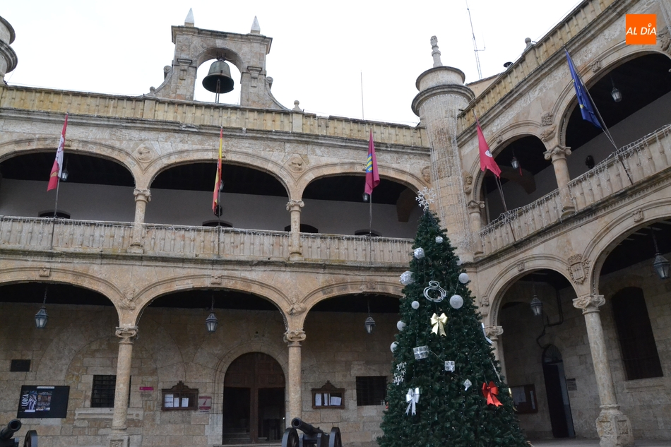 Foto 3 - Colocado el Árbol de Navidad de la Plaza Mayor, que estrena posición  