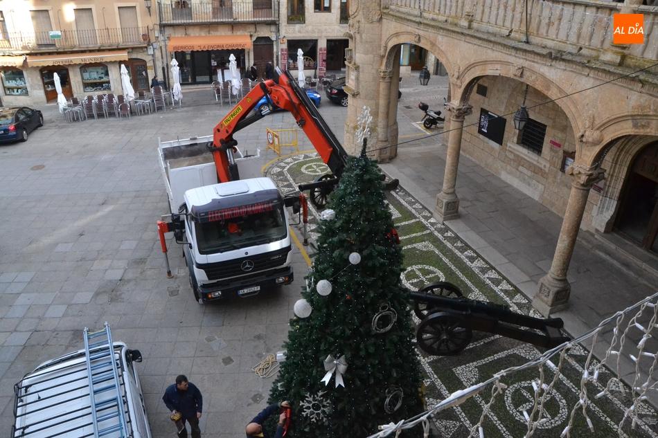 Foto 6 - Colocado el Árbol de Navidad de la Plaza Mayor, que estrena posición  