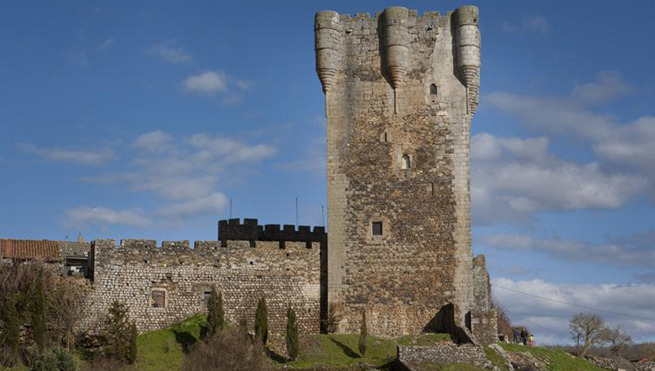 Castillo de Monleón
