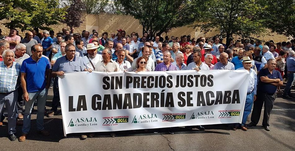 Protesta de los ganaderos de ovino de Castilla y León por los bajos precios de la leche. Foto: ASAJA