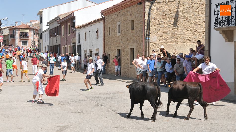 Foto 2 - Lumbrales despide las Fiestas de Toros con un entretenido encierro a caballo y la suelta de cuatro...