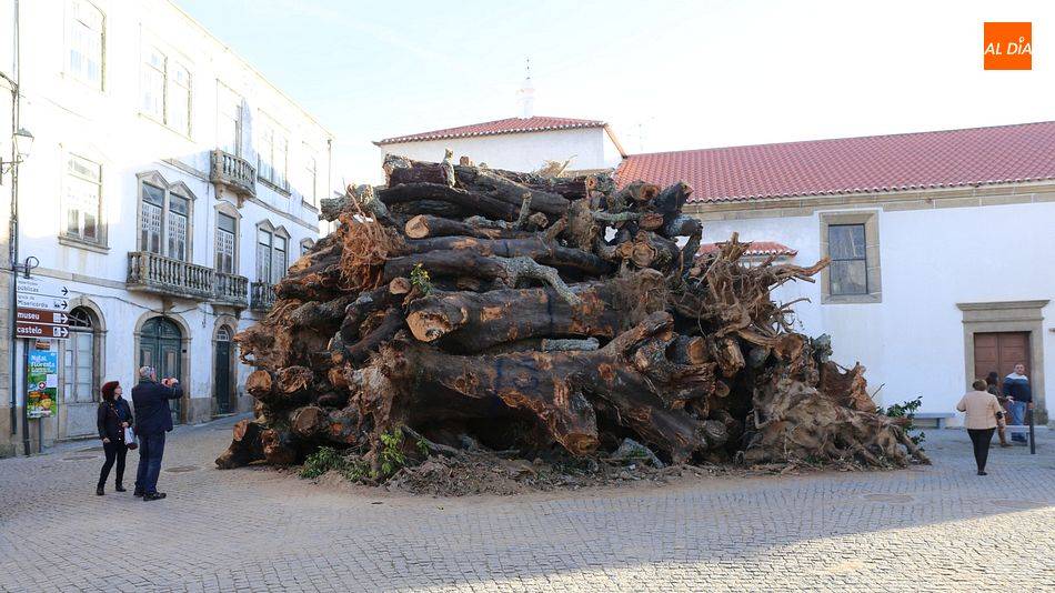 Foto 5 - Penamacor mantiene la tradición del mayor madero de Portugal, este año online  