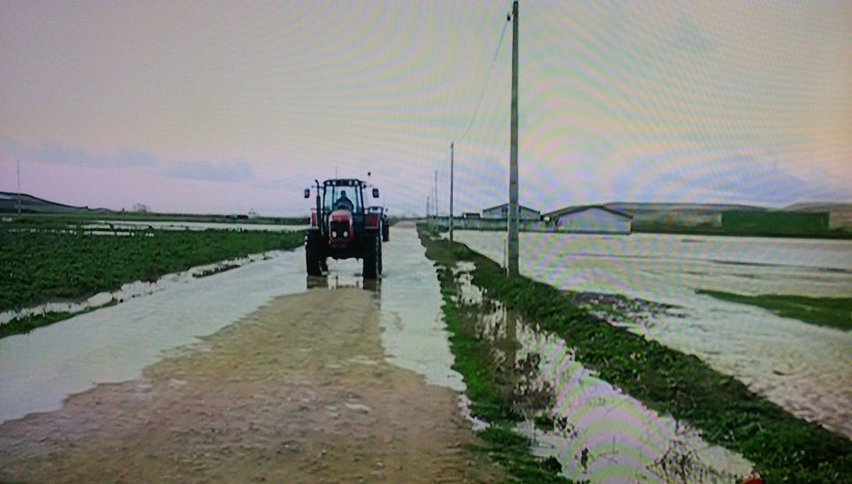 Parcelas y caminos agrícolas inundados tras las intensas lluvias de las últimas semanas. Foto: UPA Castilla y León