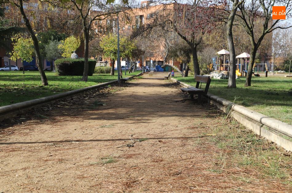 Foto 6 - Compromiso del Ayuntamiento para reforzar la limpieza y mantenimiento en calles, parques y...