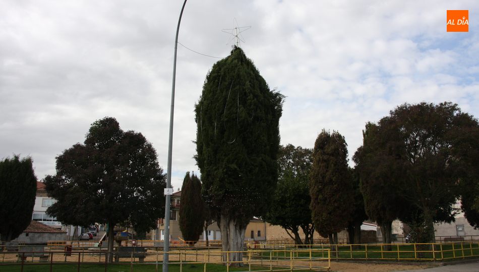 Al árbol de la Plaza de España se sumará este en el parque de la Plaza Santiago Martín 