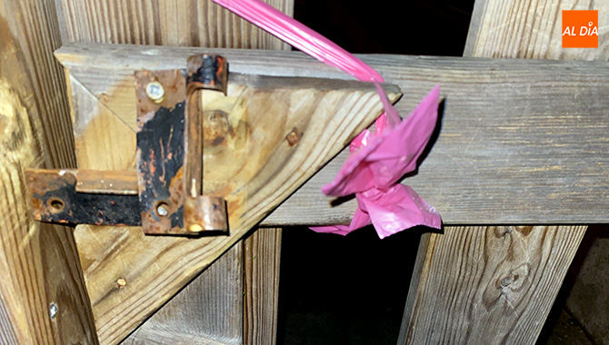 Foto 2 - ‘Ingenio’ ciudadano para cerrar el pipicán con bolsas de excrementos y salvar los destrozados...