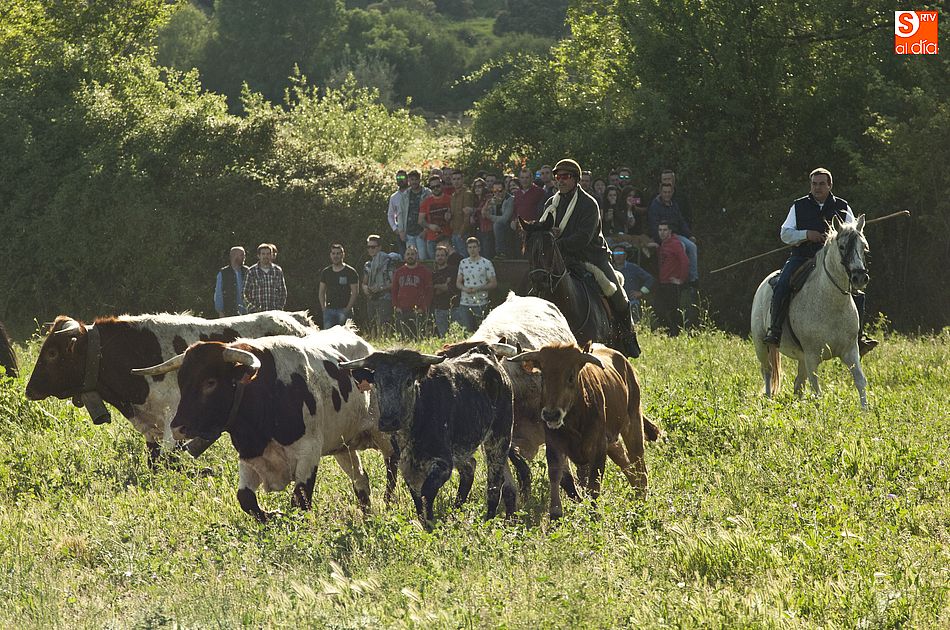 Los caballistas intentando meter a la manada | Fotos Adrián Martín