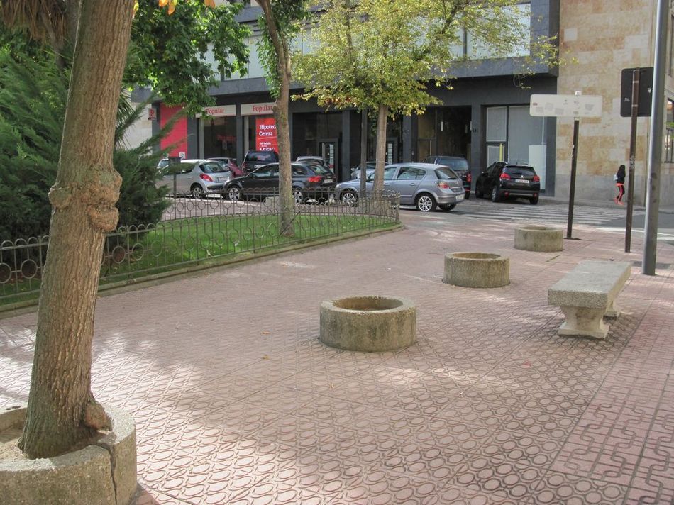 Foto 3 - Piden la reposición del arbolado perdido en Salamanca