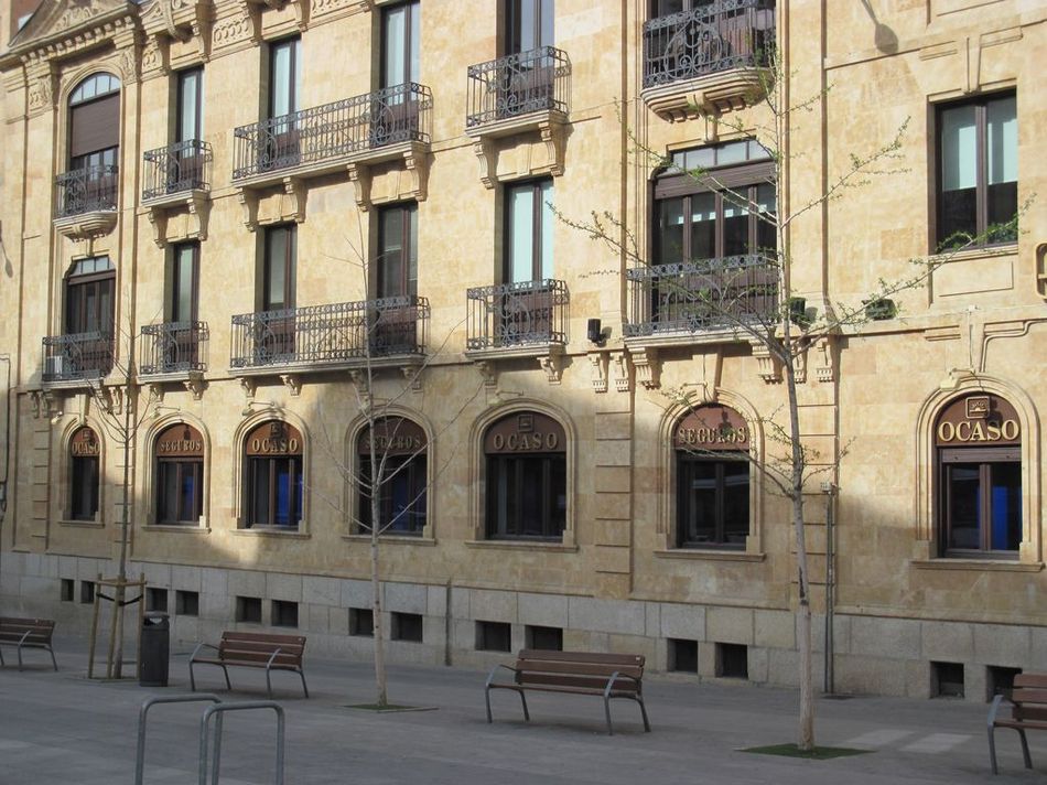 Foto 4 - Piden la reposición del arbolado perdido en Salamanca