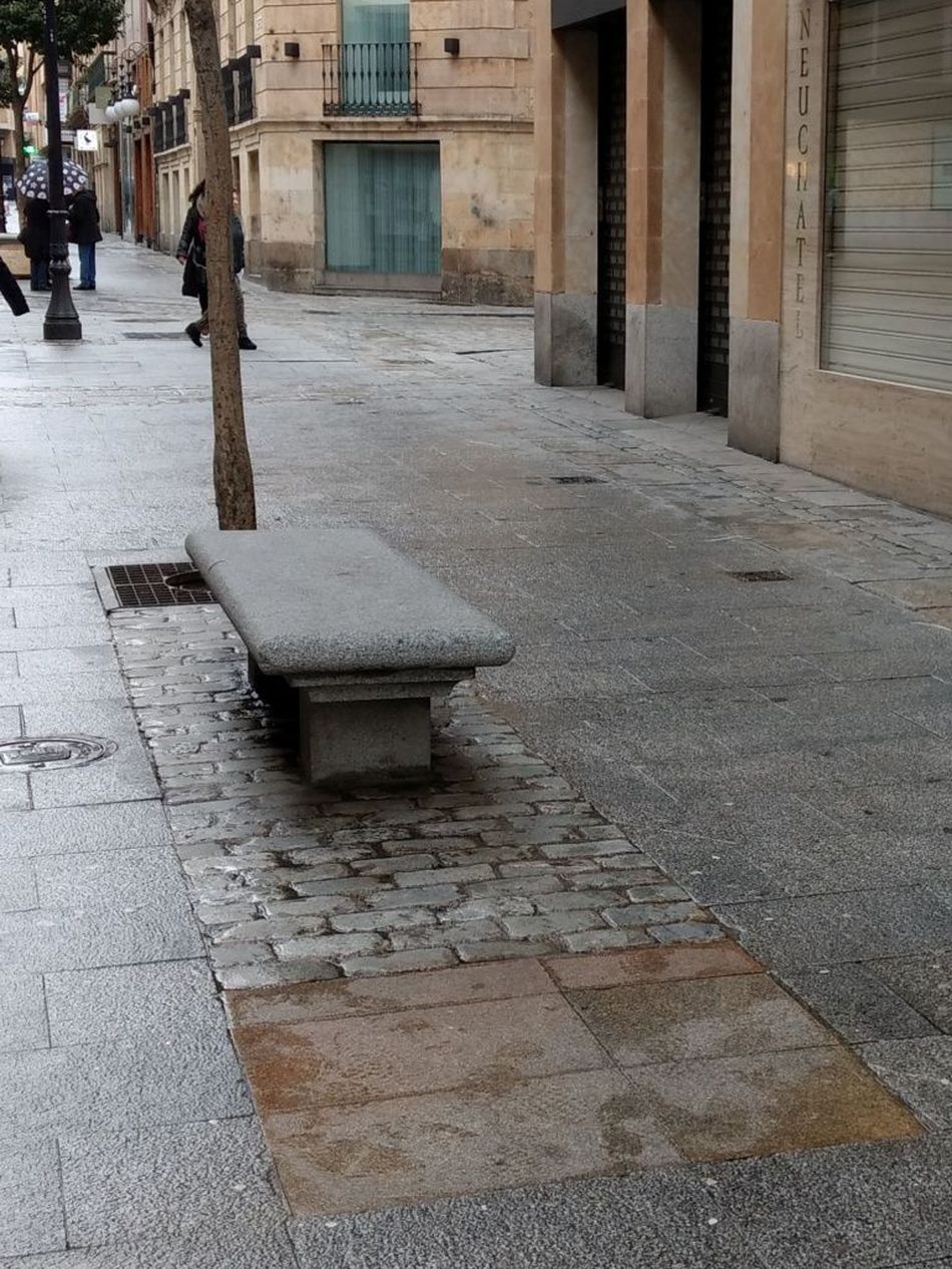 Foto 2 - Piden la reposición del arbolado perdido en Salamanca