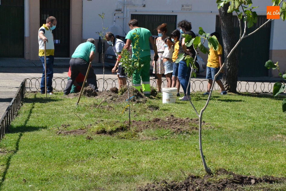 Foto 2 - Plantados 42 frutales en tres barrios de Miróbriga en el marco del proyecto Arbolar  