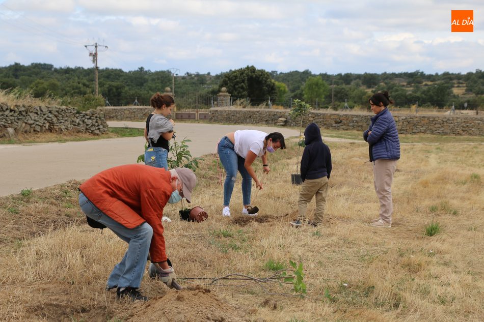 Foto 6 - Medio centenar de voluntarios se suman al proyecto ‘Arbolar’ en Peralejos de Abajo  