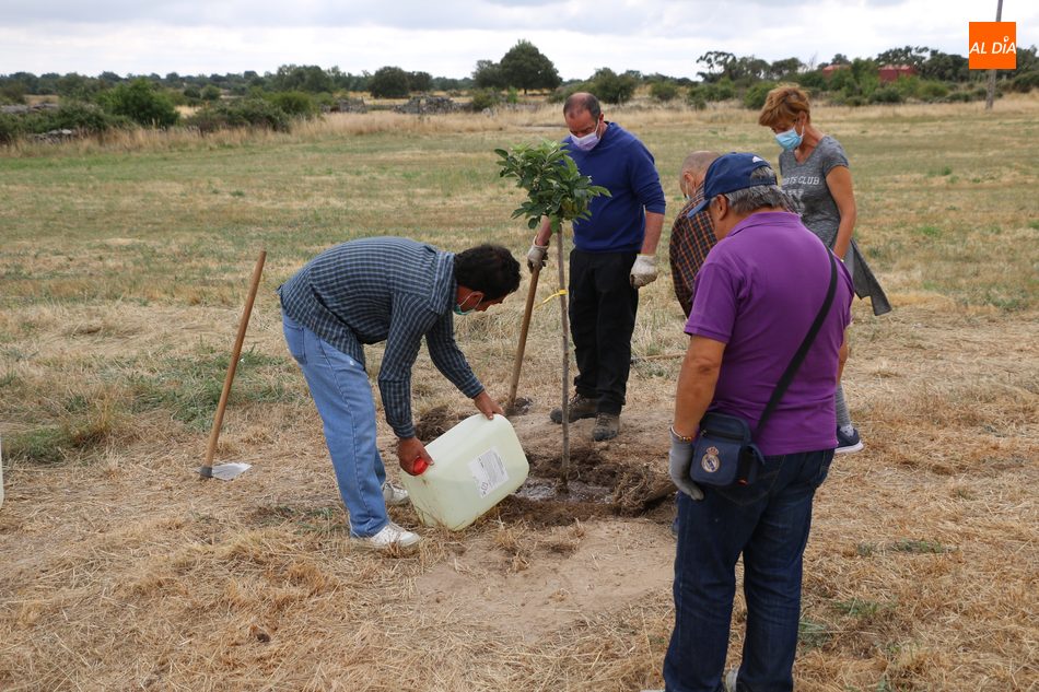 Foto 2 - Medio centenar de voluntarios se suman al proyecto ‘Arbolar’ en Peralejos de Abajo  