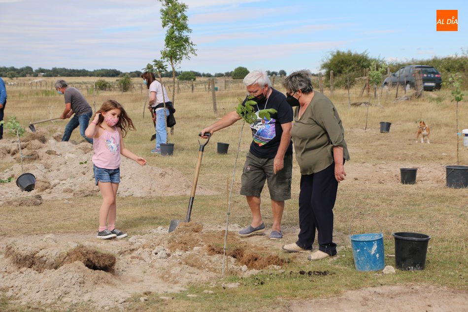 Foto 5 - Cipérez se suma al proyecto Arbolar con una treintena de voluntarios para plantar 42 frutales  