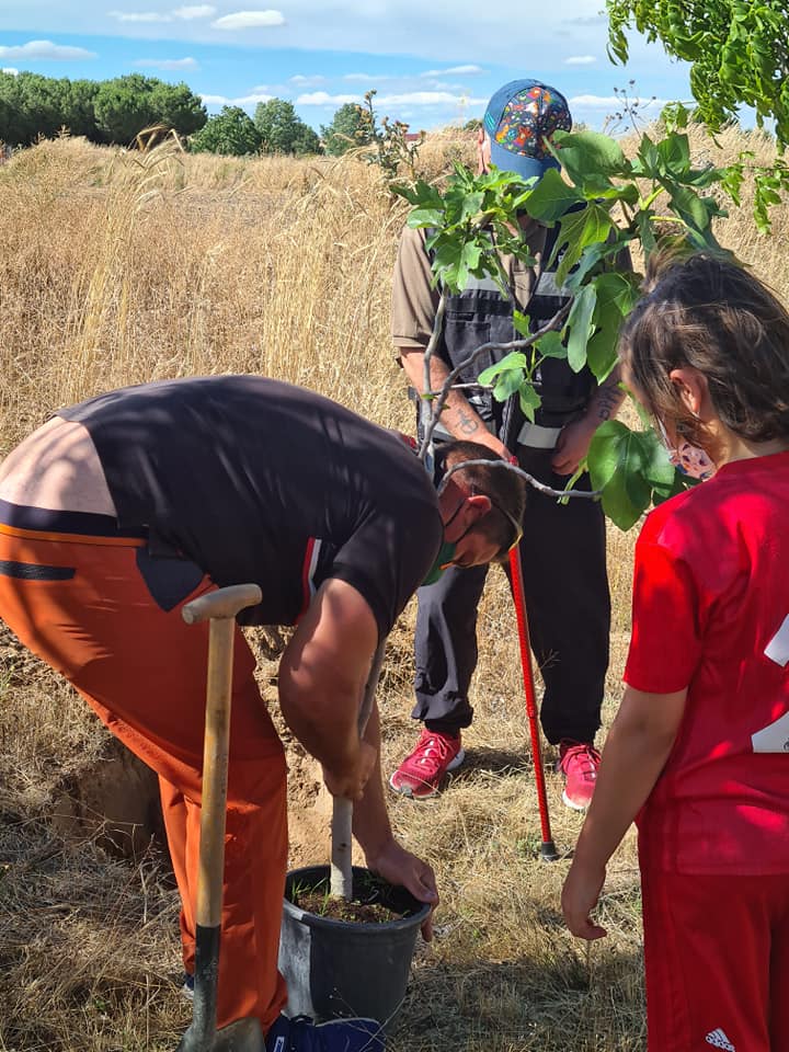 Foto 5 - Personas de diferentes edades participan en la plantación de 42 árboles en Cantalpino  