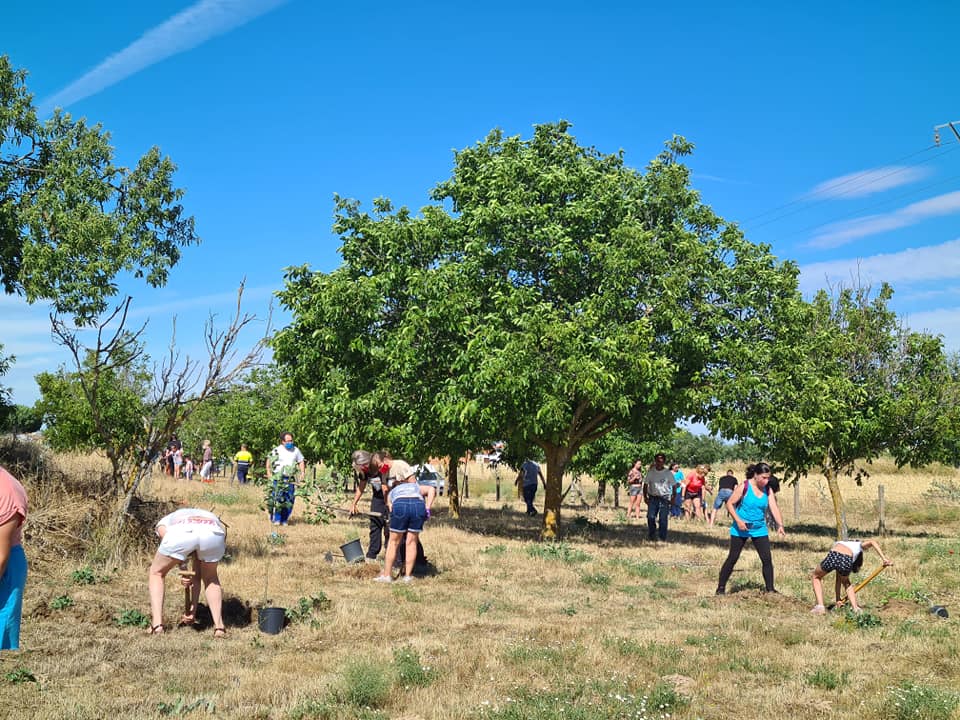 Foto 2 - Personas de diferentes edades participan en la plantación de 42 árboles en Cantalpino  