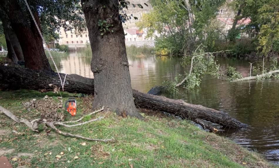 Foto 2 - Retirados una decena de árboles en mal estado o caídos al río en el entorno de El Picón  