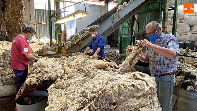 Victoriano Madrid García sigue al frente de su empresa de selección de lanas en Macotera