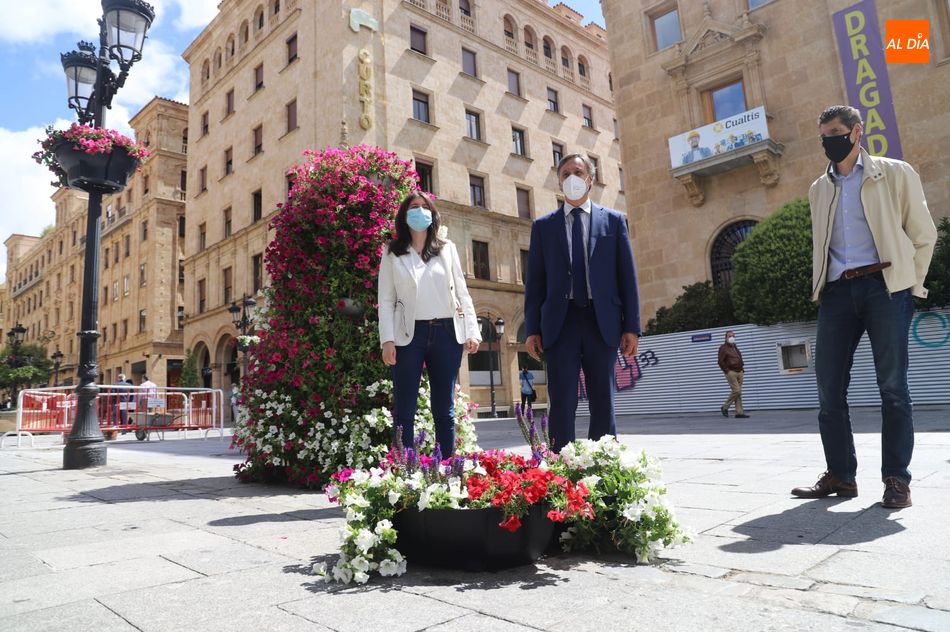 El alcalde de Salamanca, Carlos García Carbayo, junto a algunas de las nuevas jardineras de la calle Toro