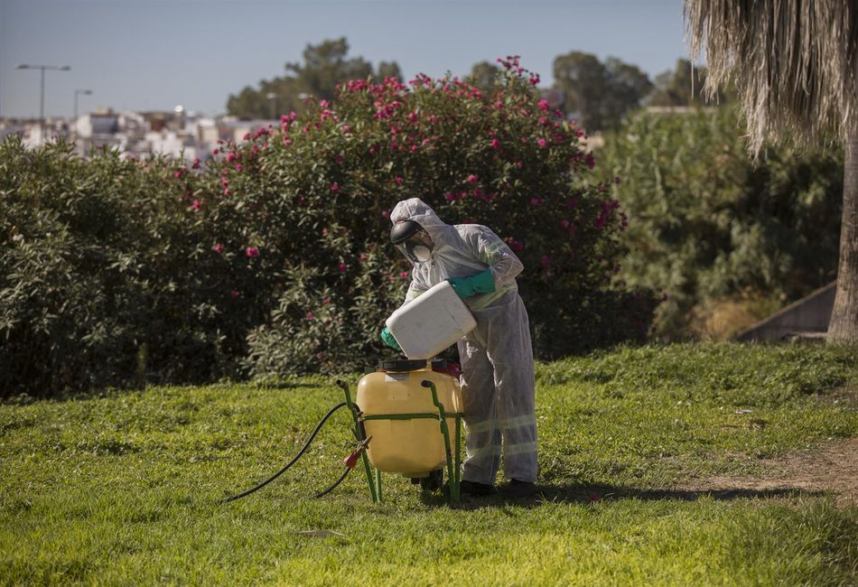 Un trabajador durante las labores de fumigación contra los mosquitos causantes del virus del Nilo en Coria del Río. Foto: EP