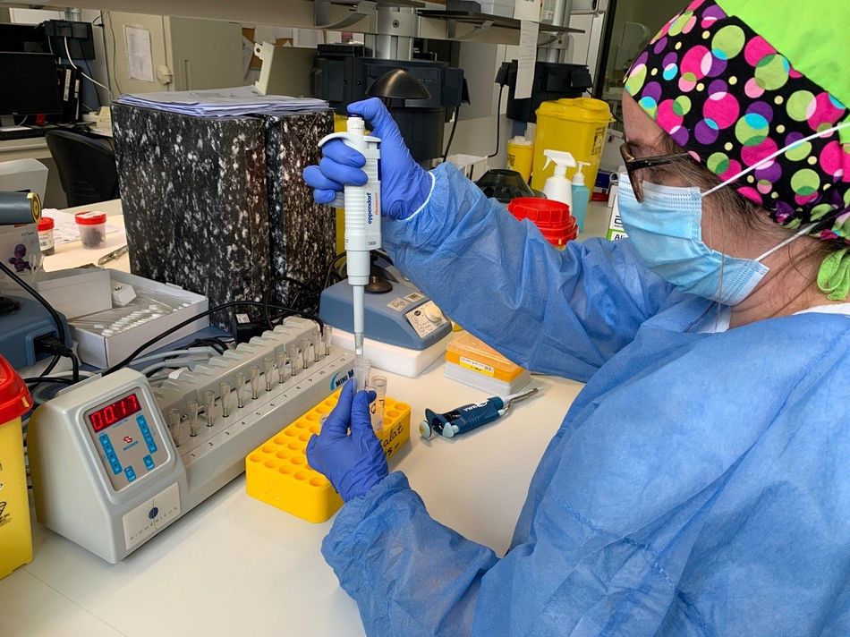 Una sanitaria realiza pruebas PCR de detección de coronavirus - Archivo