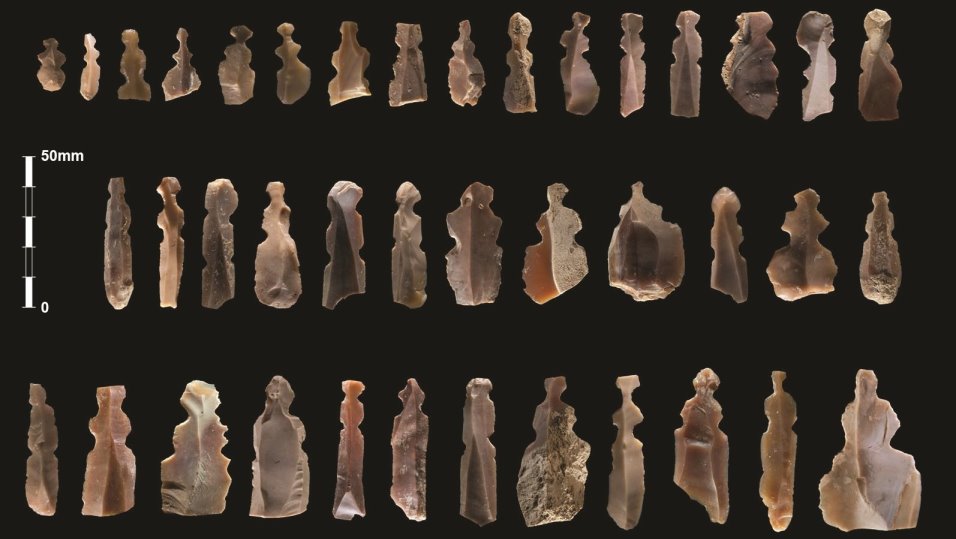 Parte de las figuritas de sílex descubierto en la excavación de Kharaysin, en Jordania - CSIC - Archivo